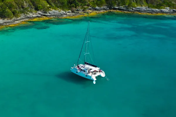 True Charters – Azalea