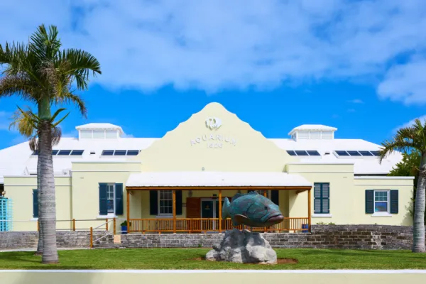 Bermuda Aquarium, Museum & Zoo