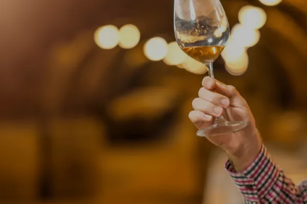 100 Point Cellar Tasting Dinner