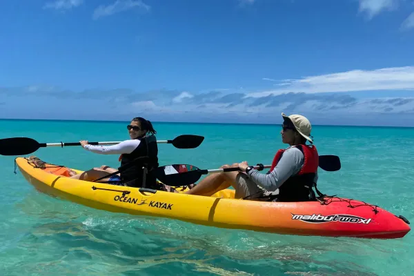 West Side Eco Kayak Trip (By D-Tours) – Kayaking - West Side Eco Kayak