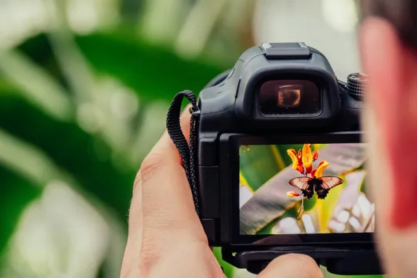 Slow Down & Notice | A Mindful Photography Walk, Share & Sip