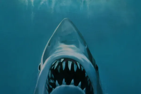 Cinema Under The Stars - Jaws