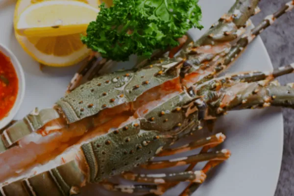 Lobster Dinner At The Loren