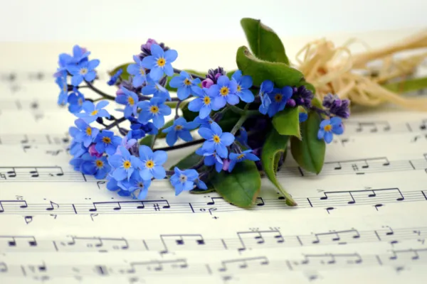 Bermuda School Of Music Spring Concert