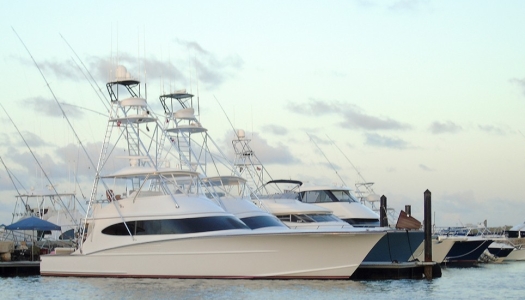 Fishing boats docked in a marina