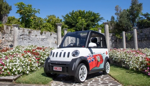 Electric car in garden