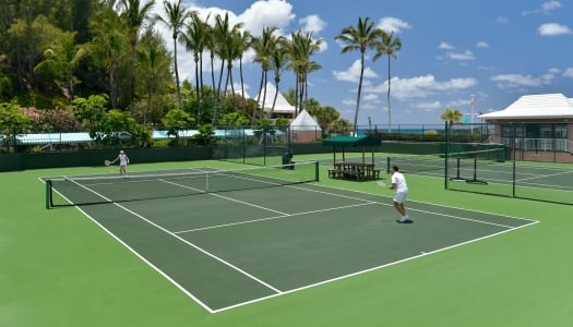 people playing tennis