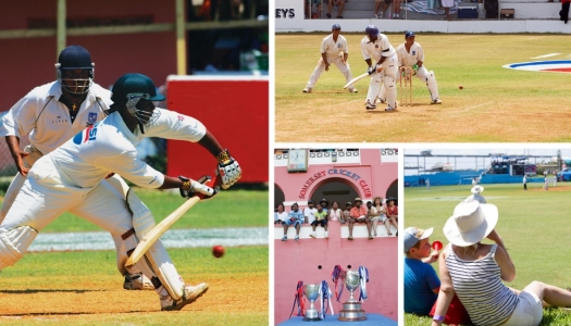 A collage of four cricket photos 