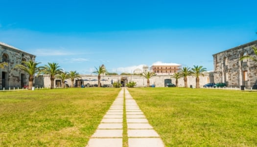 Stone pathway in the grass leading to a building