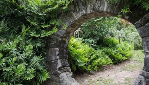 A round stone moongate with a lush green backdrop