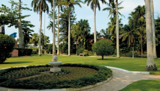 Green space with monument in the middle and palm trees in the background
