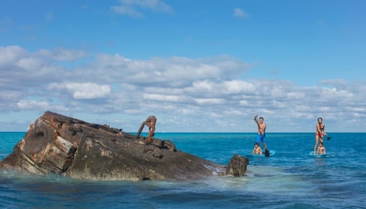 Family paddleboarding near the HMS Vixen