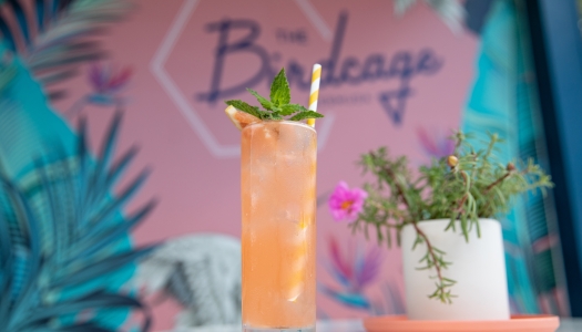 A cocktail from The Birdcage in Bermuda