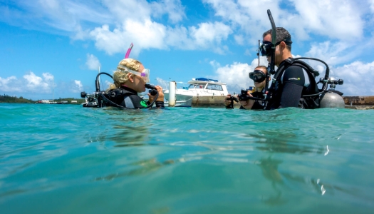 Diving lesson