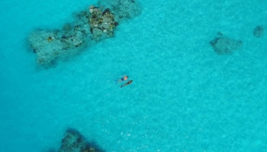 aerial shot of a pair of snorkelers