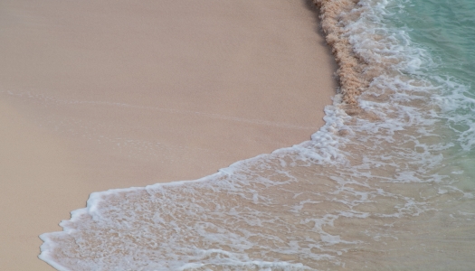 Pink sand beach