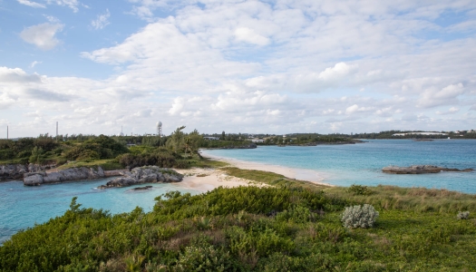 Cooper's island