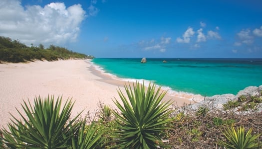 Warwick Long Bay Beach in Bermuda