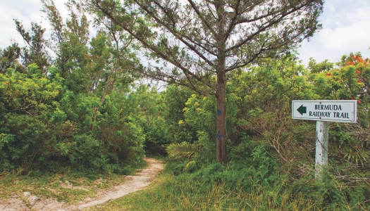 Scaur Park along the Railway Trail in Bermuda