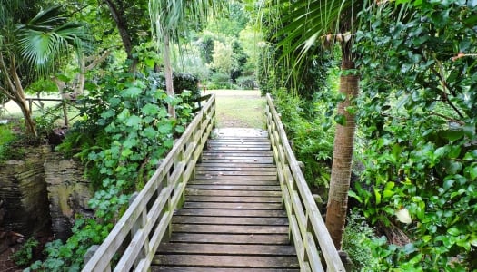 Arboretum in Bermuda