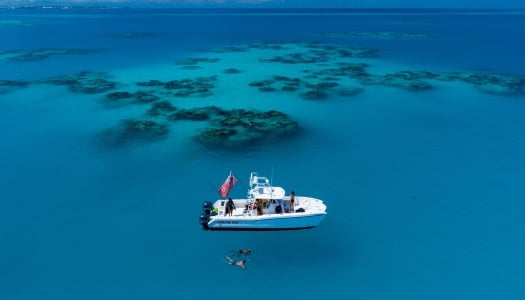 Friends snorkelling in Bermuda next to a boat.