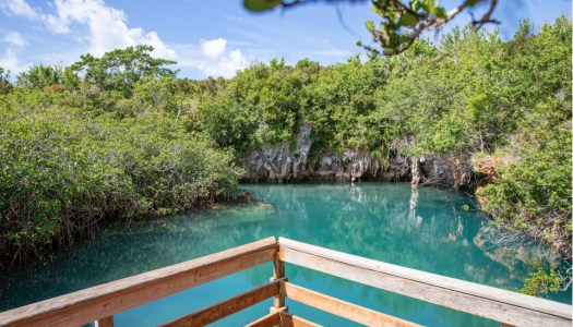 Blue Hole Park in Tom Moore's Jungle in Bermuda