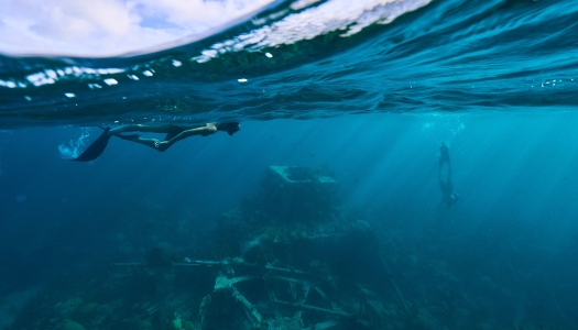 A person SCUBA diving in Bermuda