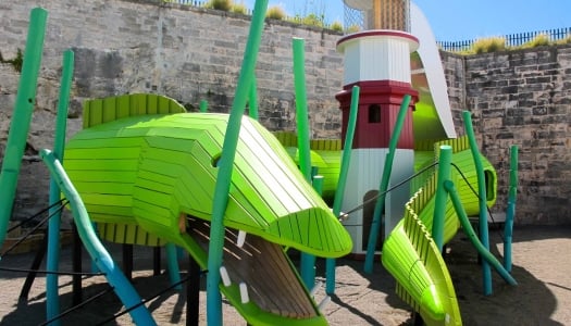 Jungle Gym at Dolphin Quest in Bermuda