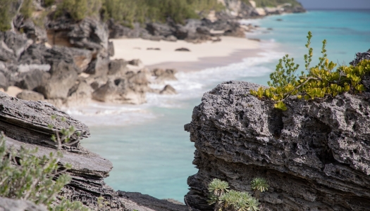 Astwood Cove Beach in Bermuda