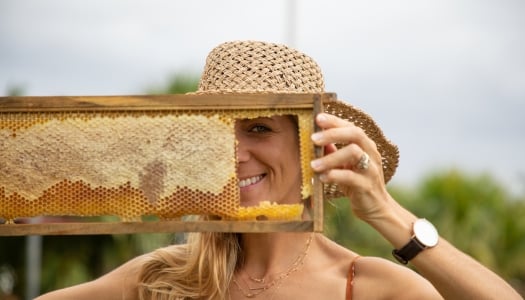 Beekeeping in Bermuda
