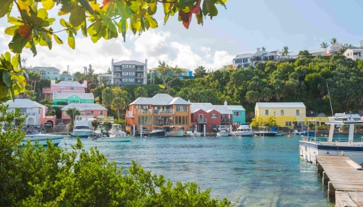 A wide angle shot of colourful Flatts Village.