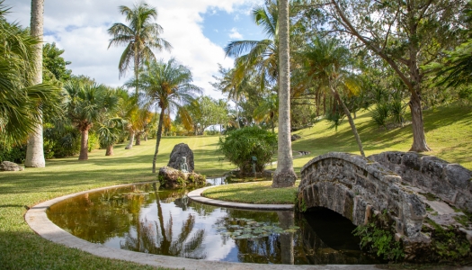 A wide angle video of a luscious green garden with palm trees and a pond.