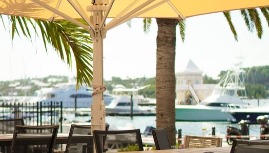 A view of a marina from Harry's Bar. 