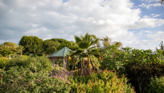 A lush and green neatly kept garden with a gazebo tucked in the bushes.