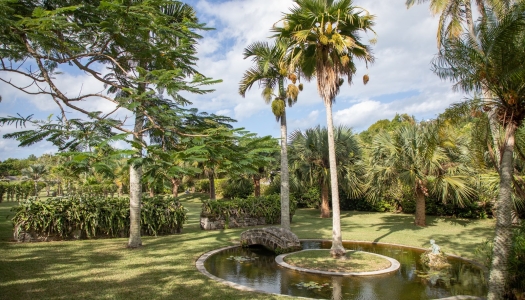 A lush and green neatly kept garden with a bridge leading to a little island in a pond.