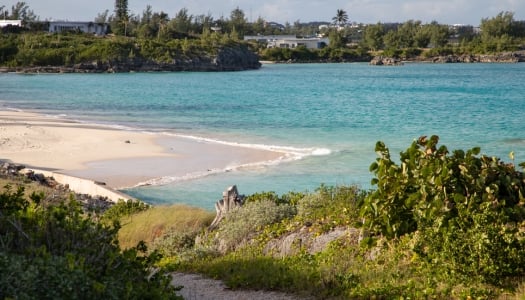 An empty calm beach with house and greenery in the background.