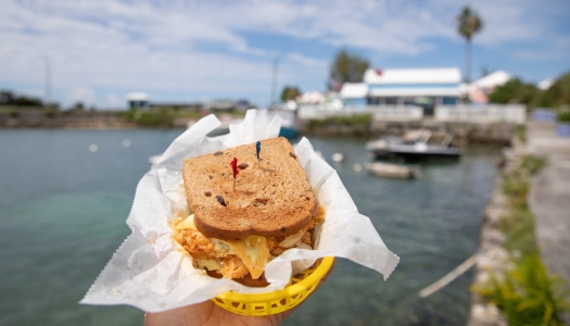 A close up of a fish sandwich with a marina and building in the background.