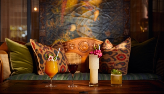 A wide shot of a selection of cocktails.