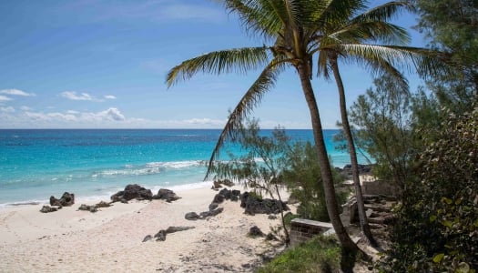 A view of an empty beach with calm blue waters.