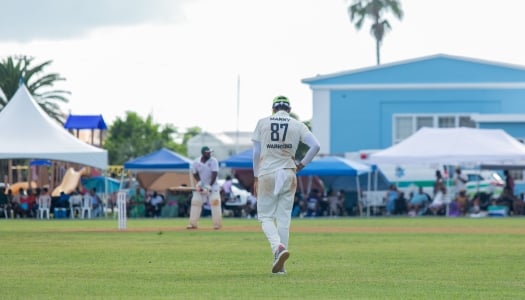 A man is on the field of a cricket pitch.