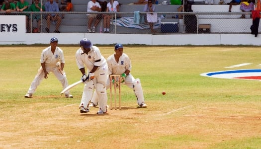 Men are playing cricket.