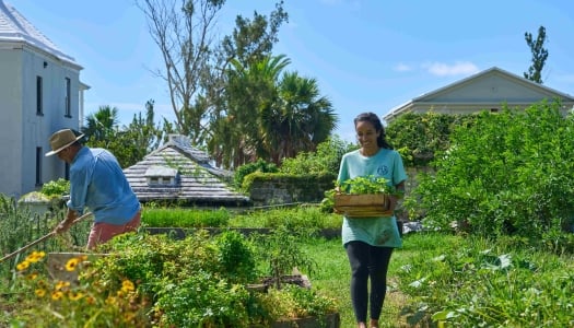 A woman and man are working the fields at a farm.