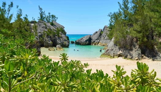 a view of scenic jobson's cove.