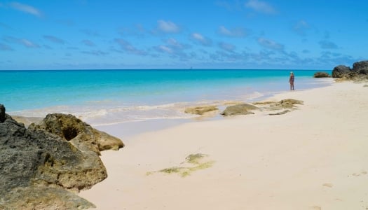 A woman is standing on a secluded beach.