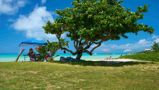 A beach rental team is lounging around on the secluded Somerset Long Bay.