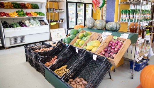 Interior of Wadson's Farm.