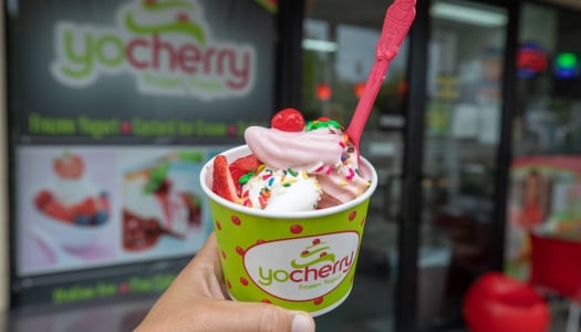 A close up of Yo Cherry Ice Cream.