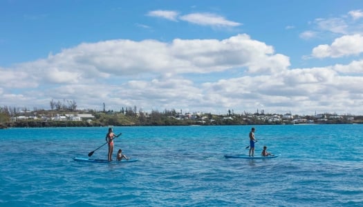 A couple is paddle boarding with their children.