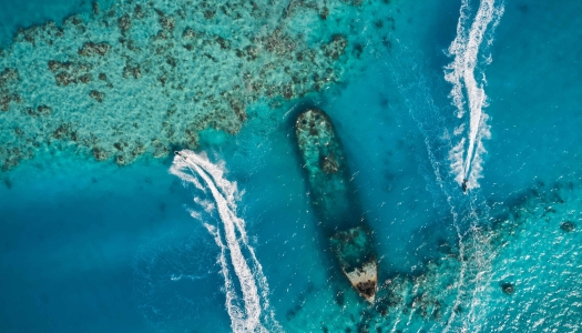 Aerial view of people jet skiing. 