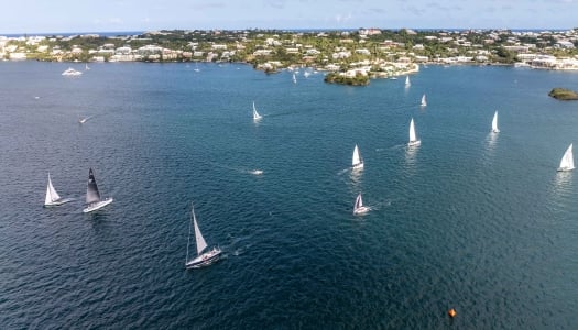 A group of boats are sailing on the hamilton harbour.